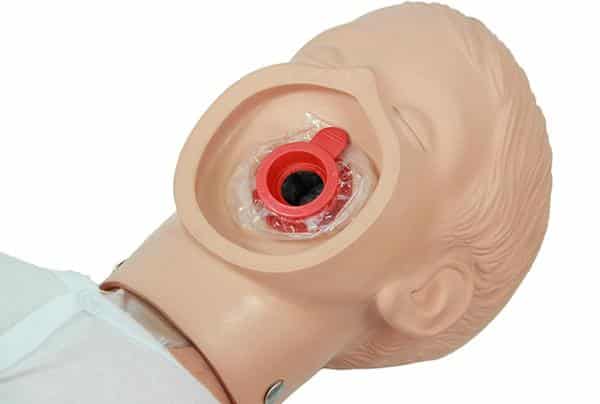 ambu-junior-head-media1